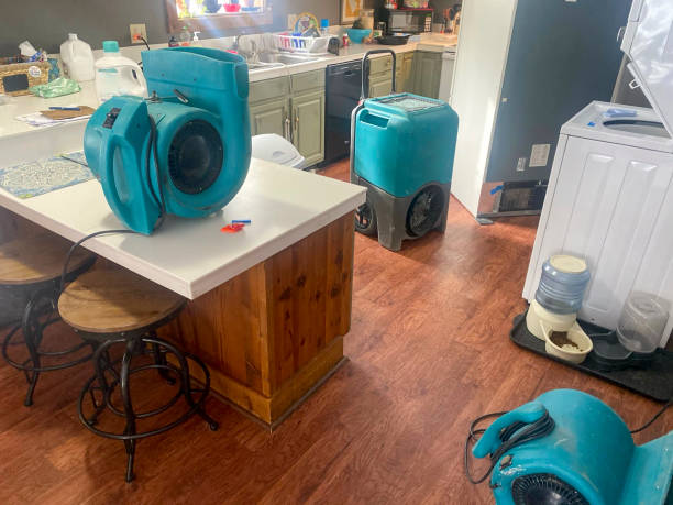 Best Flooded house restoration  in Dadeville, AL