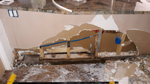 Best Flooded house restoration  in Dadeville, AL