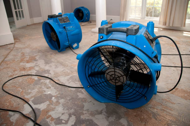 Best Local water damage restoration  in Dadeville, AL
