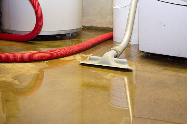 Best Basement water damage restoration  in Dadeville, AL