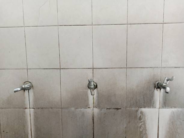 Best Commercial water damage restoration  in Dadeville, AL
