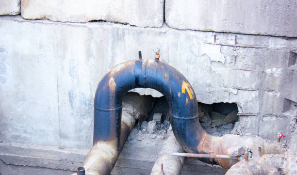 Best Flood damage cleanup  in Dadeville, AL